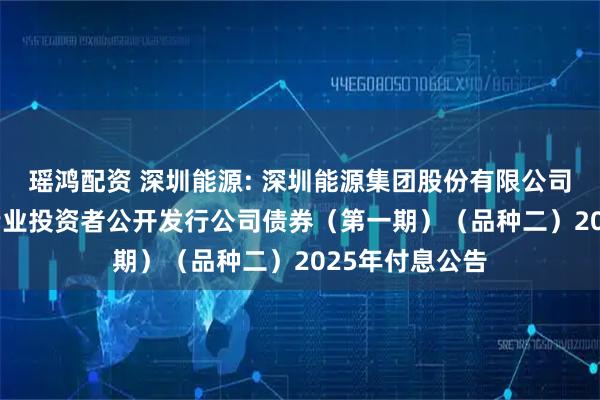 瑶鸿配资 深圳能源: 深圳能源集团股份有限公司2022年面向专业投资者公开发行公司债券（第一期）（品种二）2025年付息公告