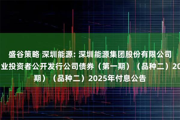 盛谷策略 深圳能源: 深圳能源集团股份有限公司2022年面向专业投资者公开发行公司债券（第一期）（品种二）2025年付息公告