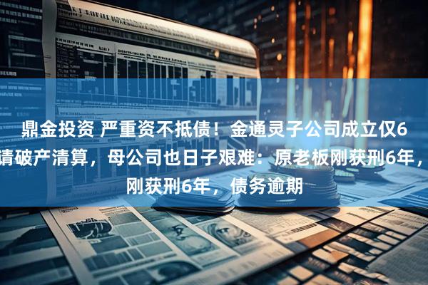 鼎金投资 严重资不抵债！金通灵子公司成立仅6年，被申请破产清算，母公司也日子艰难：原老板刚获刑6年，债务逾期